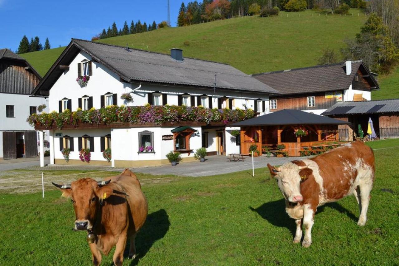 Villa Bio Bauernhof Moas à Lunz am See Extérieur photo